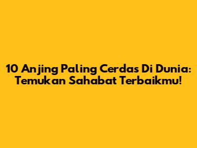 10 Anjing Paling Cerdas Di Dunia: Temukan Sahabat Terbaikmu!