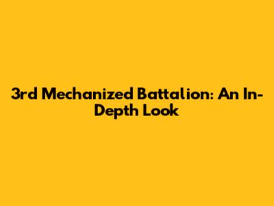 3rd Mechanized Battalion: An In-Depth Look
