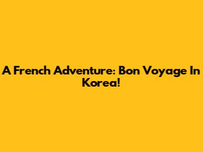 A French Adventure: Bon Voyage In Korea!