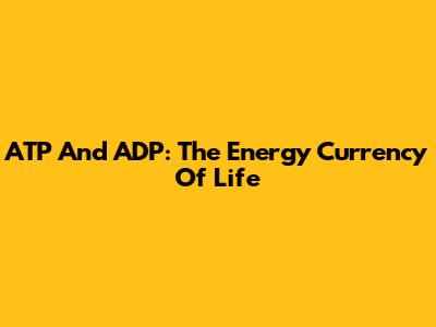 ATP And ADP: The Energy Currency Of Life