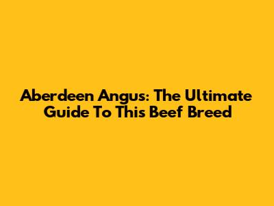 Aberdeen Angus: The Ultimate Guide To This Beef Breed