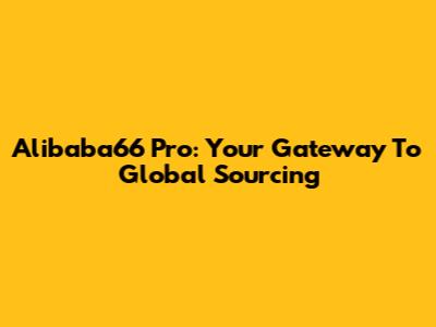 Alibaba66 Pro: Your Gateway To Global Sourcing
