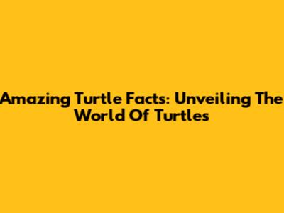 Amazing Turtle Facts: Unveiling The World Of Turtles