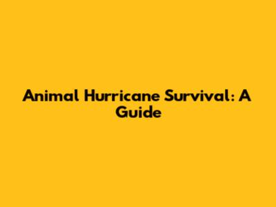Animal Hurricane Survival: A Guide