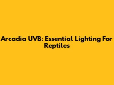Arcadia UVB: Essential Lighting For Reptiles