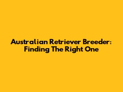 Australian Retriever Breeder: Finding The Right One