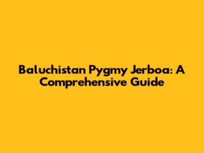 Baluchistan Pygmy Jerboa: A Comprehensive Guide