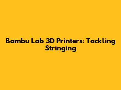 Bambu Lab 3D Printers: Tackling Stringing