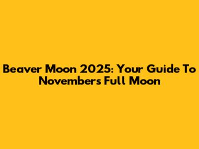 Beaver Moon 2025: Your Guide To November's Full Moon