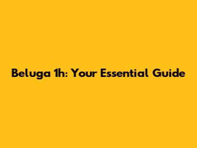 Beluga 1h: Your Essential Guide