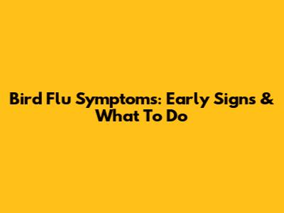 Bird Flu Symptoms: Early Signs & What To Do