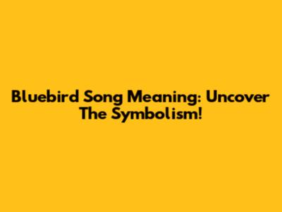 Bluebird Song Meaning: Uncover The Symbolism!