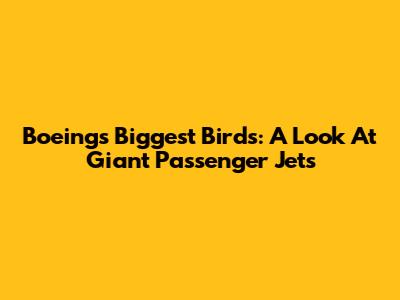 Boeing's Biggest Birds: A Look At Giant Passenger Jets