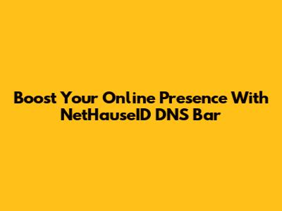 Boost Your Online Presence With NetHauseID DNS Bar