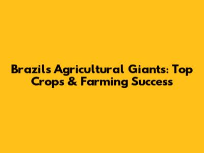 Brazil's Agricultural Giants: Top Crops & Farming Success
