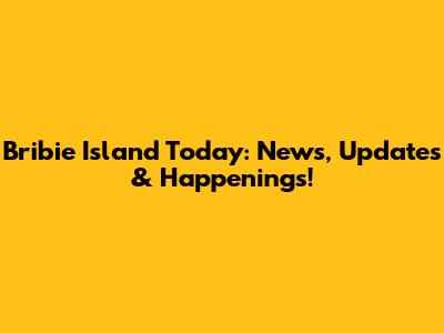 Bribie Island Today: News, Updates & Happenings!