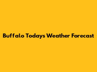 Buffalo Today's Weather Forecast