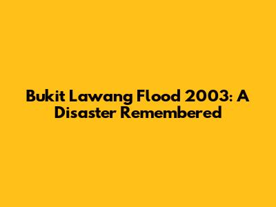 Bukit Lawang Flood 2003: A Disaster Remembered