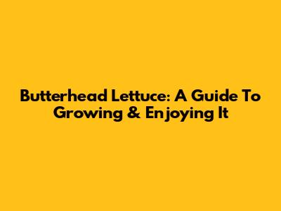 Butterhead Lettuce: A Guide To Growing & Enjoying It