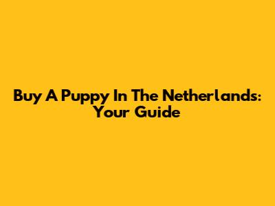 Buy A Puppy In The Netherlands: Your Guide