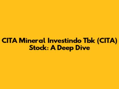 CITA Mineral Investindo Tbk (CITA) Stock: A Deep Dive