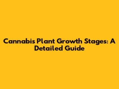 Cannabis Plant Growth Stages: A Detailed Guide