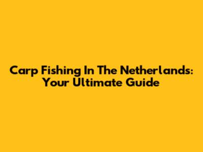 Carp Fishing In The Netherlands: Your Ultimate Guide