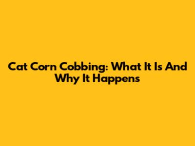 Cat Corn Cobbing: What It Is And Why It Happens