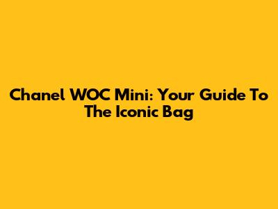 Chanel WOC Mini: Your Guide To The Iconic Bag