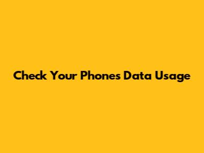 Check Your Phone's Data Usage