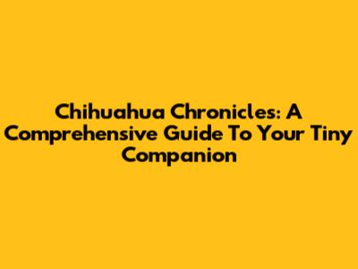 Chihuahua Chronicles: A Comprehensive Guide To Your Tiny Companion