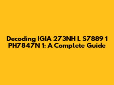 Decoding IGIA 273NH L S7889 1 PH7847N 1: A Complete Guide