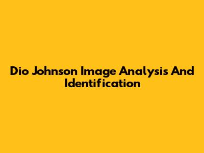 Dio Johnson Image Analysis And Identification