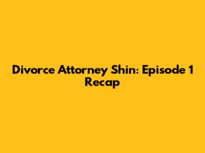 Divorce Attorney Shin: Episode 1 Recap