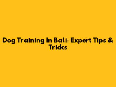 Dog Training In Bali: Expert Tips & Tricks