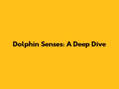 Dolphin Senses: A Deep Dive
