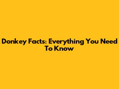 Donkey Facts: Everything You Need To Know