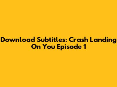 Download Subtitles: Crash Landing On You Episode 1