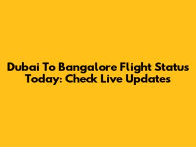 Dubai To Bangalore Flight Status Today: Check Live Updates