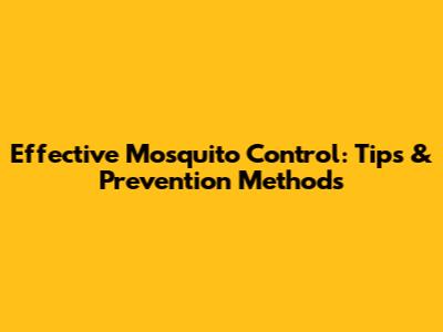 Effective Mosquito Control: Tips & Prevention Methods