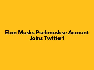 Elon Musk's PseIimuskse Account Joins Twitter!