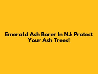Emerald Ash Borer In NJ: Protect Your Ash Trees!