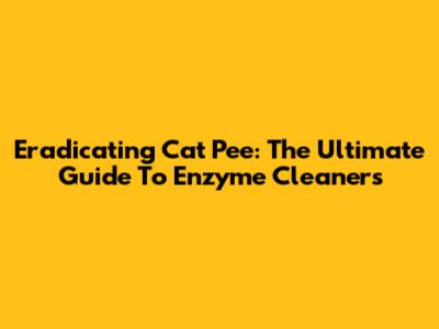 Eradicating Cat Pee: The Ultimate Guide To Enzyme Cleaners