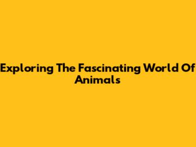Exploring The Fascinating World Of Animals