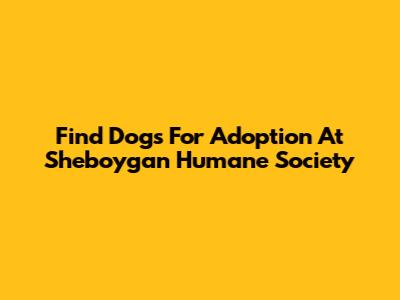Find Dogs For Adoption At Sheboygan Humane Society