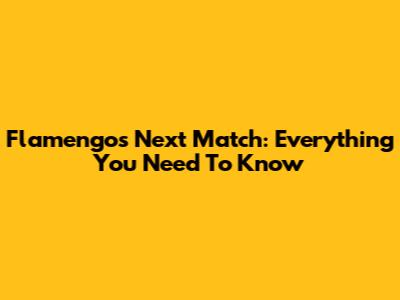 Flamengo's Next Match: Everything You Need To Know
