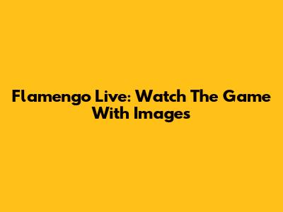 Flamengo Live: Watch The Game With Images