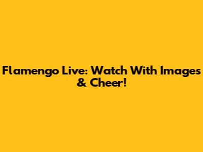 Flamengo Live: Watch With Images & Cheer!