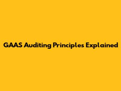 GAAS Auditing Principles Explained