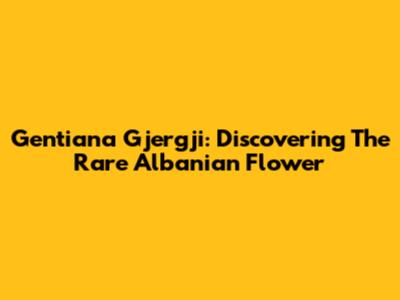 Gentiana Gjergji: Discovering The Rare Albanian Flower
